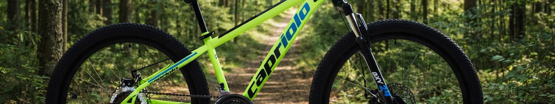 MTB 24
