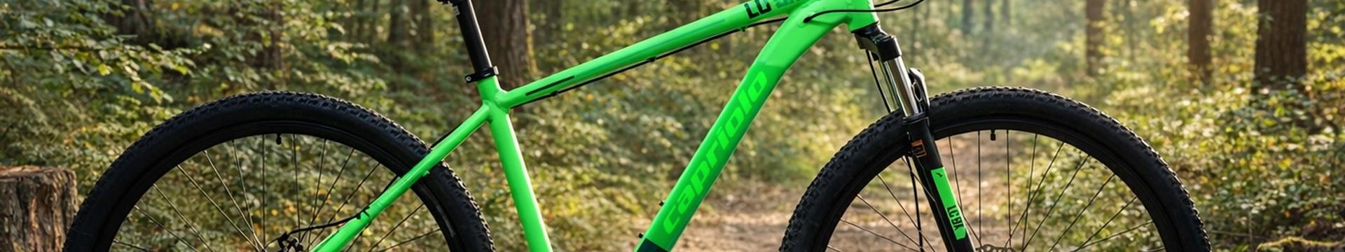 MTB 29