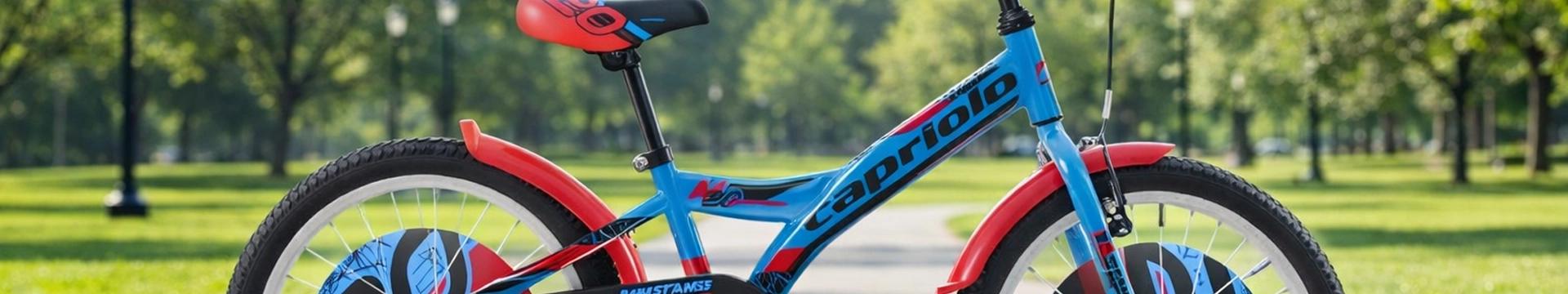 BMX 20